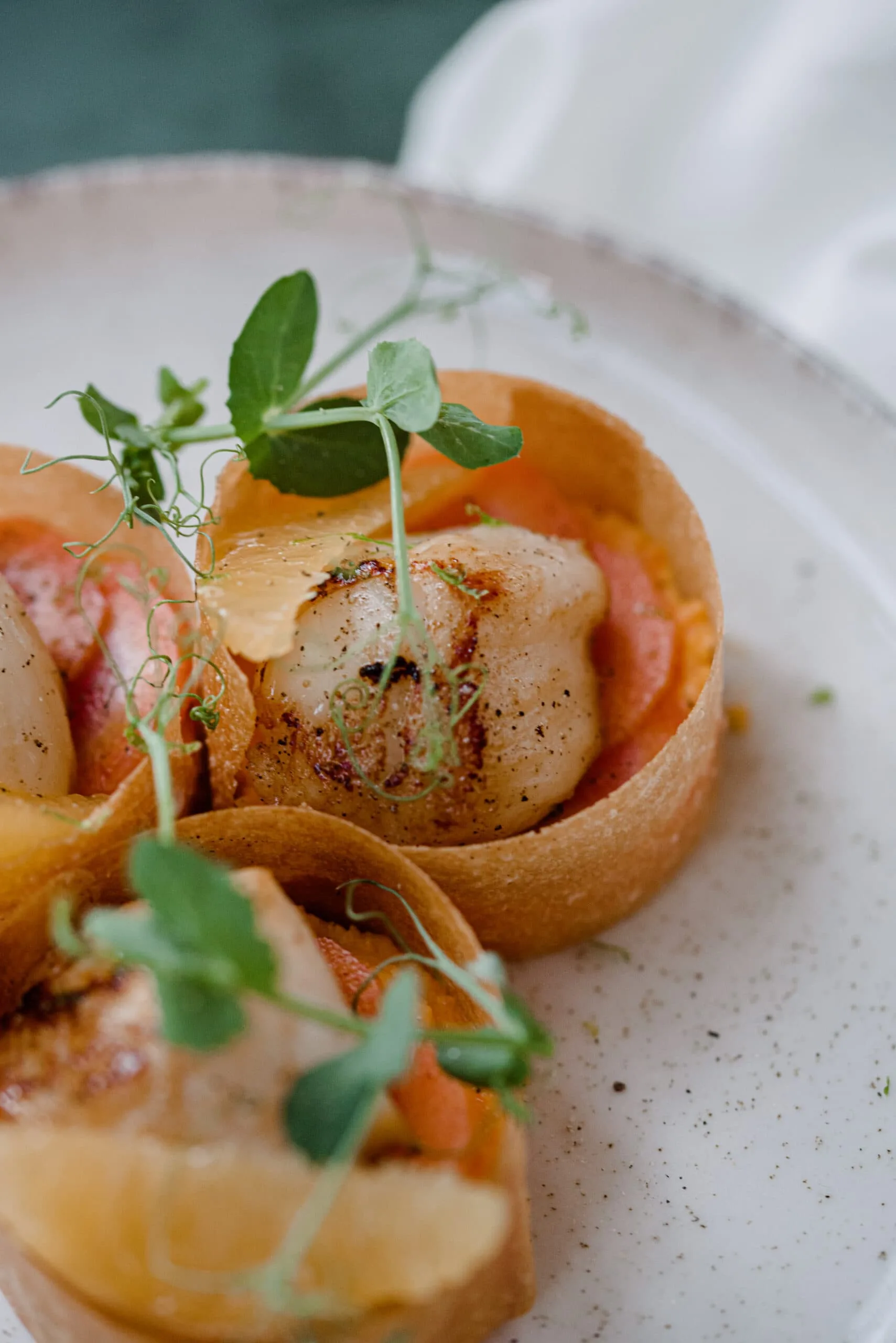 Croustillant de St-Jacques, carottes pickels et agrumes