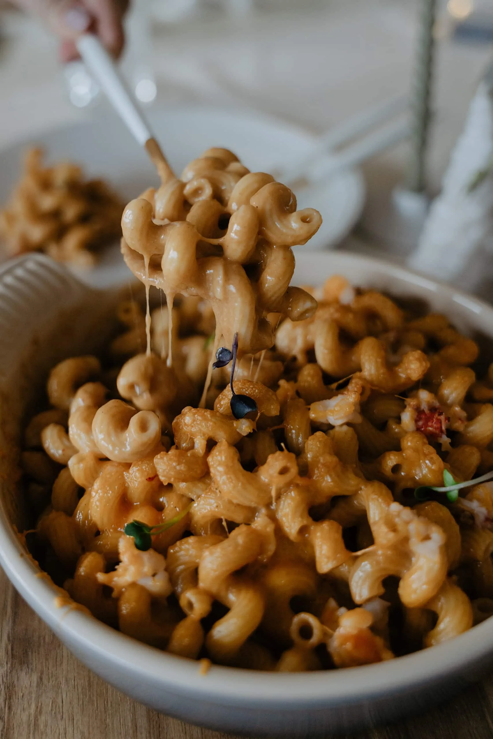 Mac and cheese au homard
