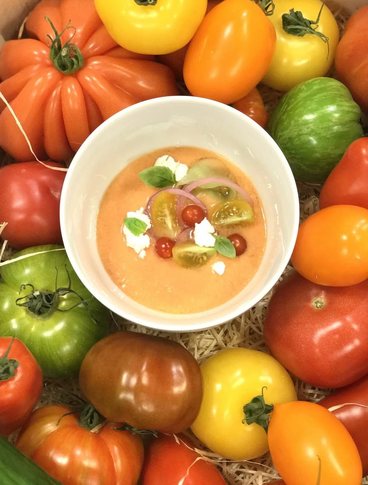 Gaspacho chèvre et basilic