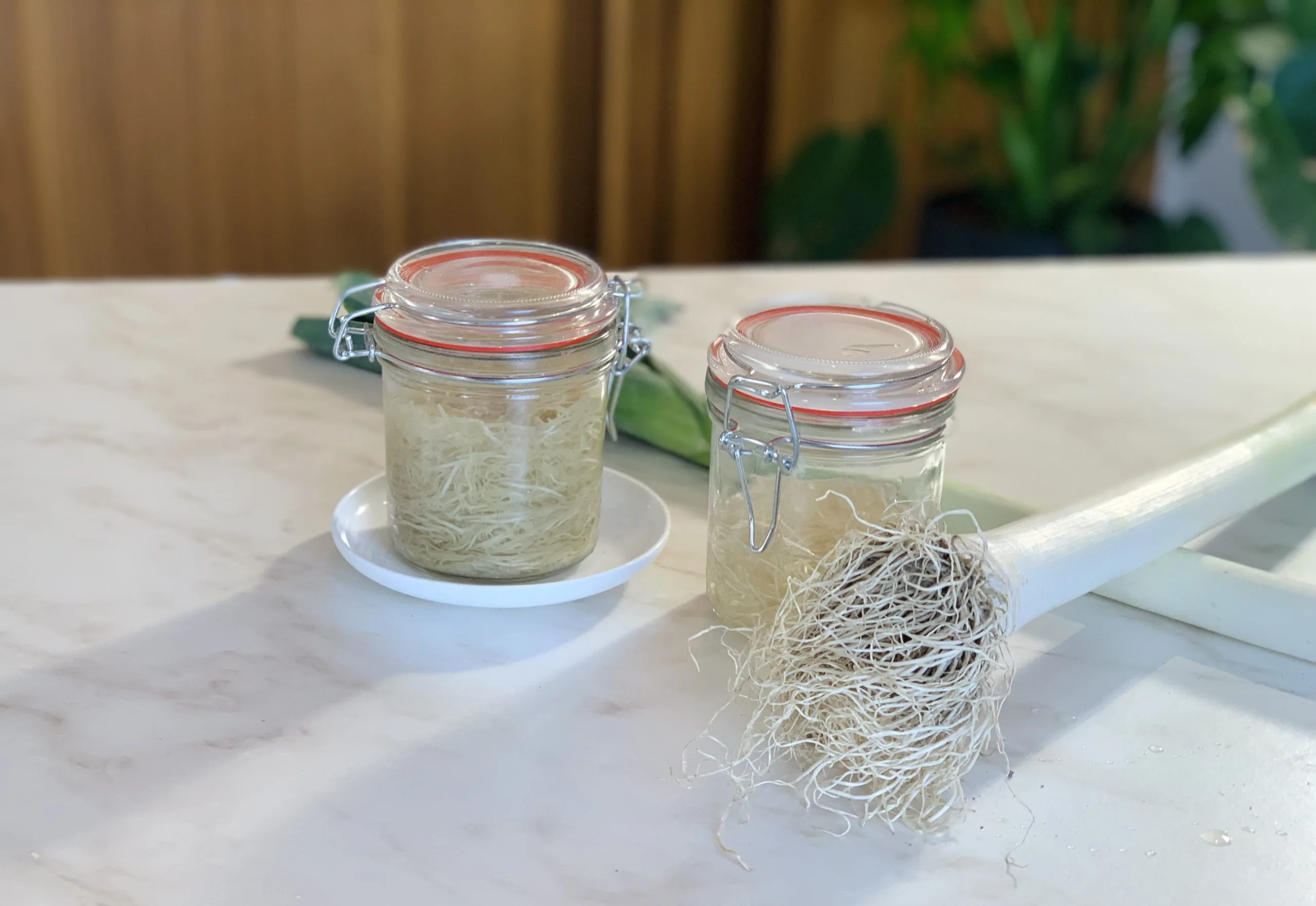 Radicelles de poireau lacto-fermenté
