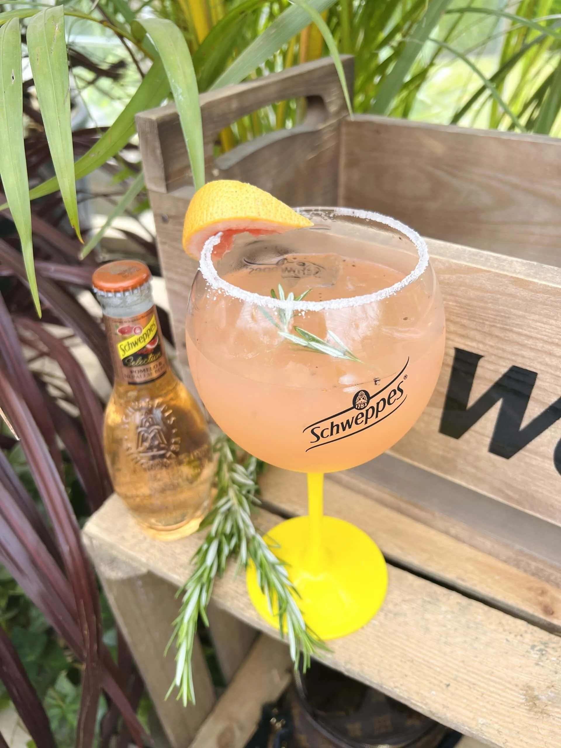 Paloma cocktail