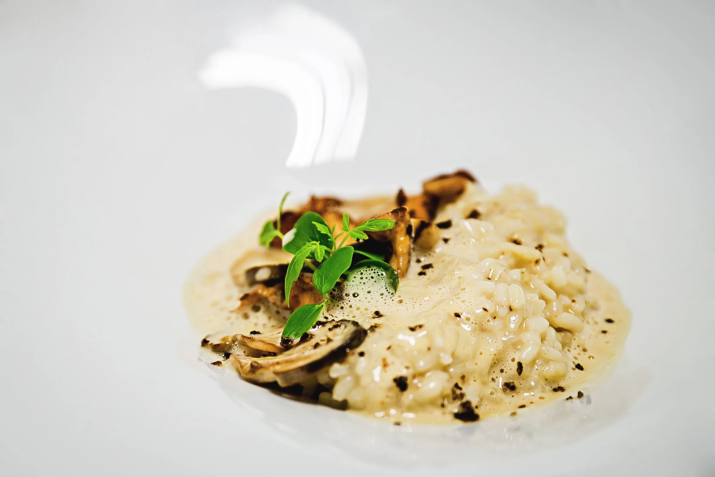 Risotto champignons – Noix de St Jacques