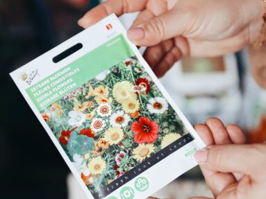 fleurs comestibles