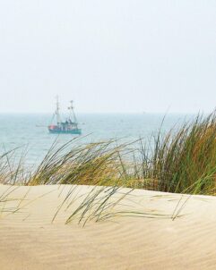 north sea